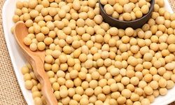 Soya fasulyesinin faydaları
