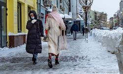 Rusya'daki dondurucu soğuklar mahsulleri etkiledi