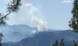 Balıkesir'de orman yangınına acil müdahale edildi