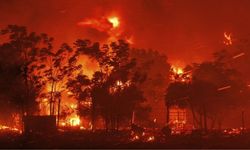 Yunanistan'da büyük orman yangını çıktı