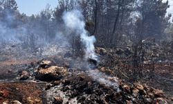 Antalya'da çıkan orman yangınlarında 12 hektar alan kül oldu
