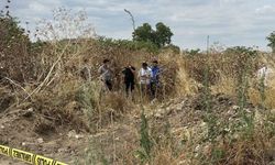 Tekirdağ Muratlı'da bir tarlada erkek cesedi bulundu