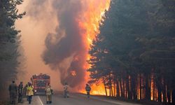 Yakutistan'da çıkan orman yangını için acil durum verildi