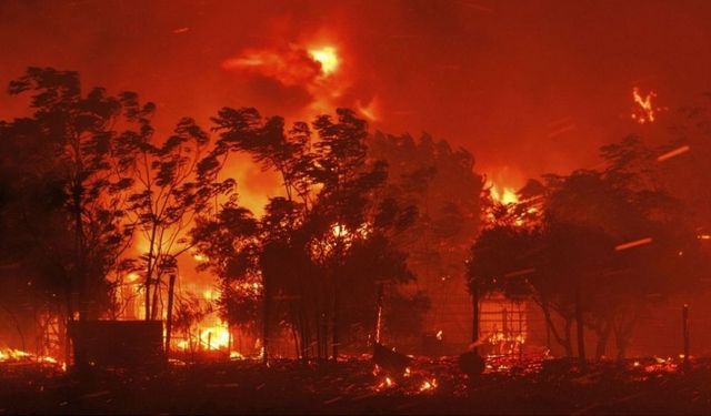 Yunanistan'da büyük orman yangını çıktı