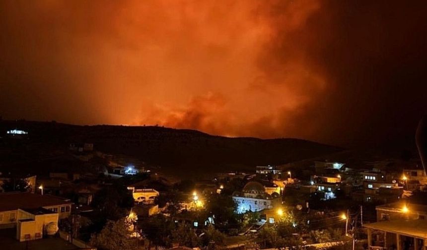 Mardin ve Diyarbakır'da çıkan yangınlarda 11 ölü