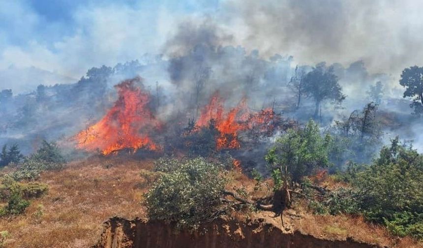 Silivri'de yerleşim yerine yakın yangın çıktı