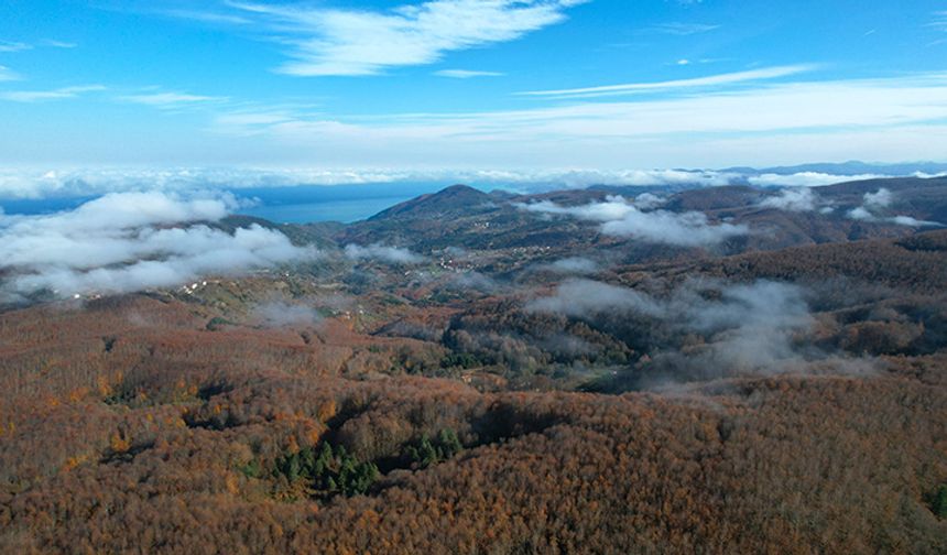 Kastamonu'nun güzel manzarası: vadilere çöken sis ve ormanlık alanlar drone ile görüntülendi